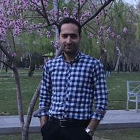 Saeid Molaei的照片