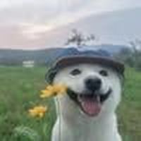 Hua Qing Hua's Photo