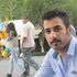 Masoud sheykhi的照片