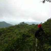 Ian Cotten's Photo