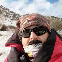 Mojtaba Mozafari's Photo
