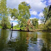 Andrew McCann的照片