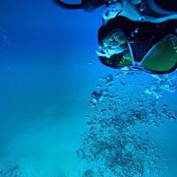 Juan Carlos Alvarado's Photo