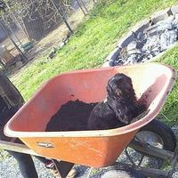 Cicada Luedke's Photo