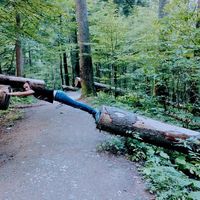 barbara golewska的照片