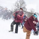 Snowball fight 's picture