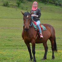 Le foto di Nada Atef