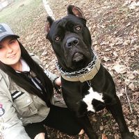 Юлия Диасс的照片