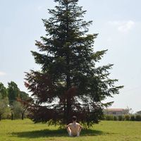 Marco Bisegni's Photo