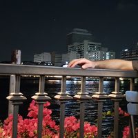 Fotos de Mujahid Hussain