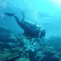 Fotos de Natacha Navarro