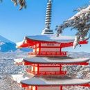 Immagine di Tour en español al monte Fuji