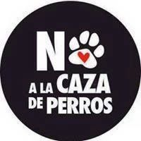 Valentina S. Hernández's Photo