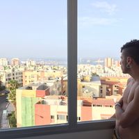 Guillos Sylvestris的照片