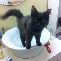 Celine Gervais's Photo