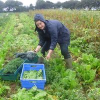 Michaela Rohmann's Photo