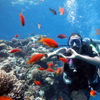 Kate Bortnikova's Photo