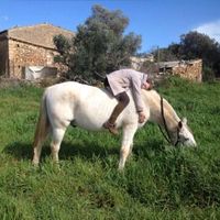 Stacey van Tichelt的照片