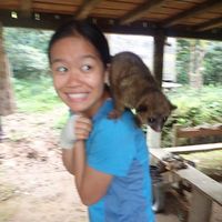 Photos de Yan Nin Lui