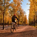 Bicicleteada de Mendoza a Luján's picture