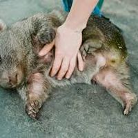 Fotos de Astra Okter