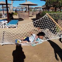 Ahmed Arafa的照片