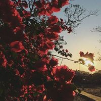 María Belén's Photo