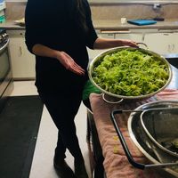 Bonnie Klohn's Photo