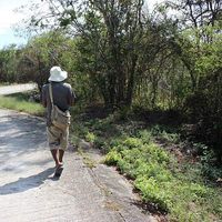 Fili  Mendez's Photo