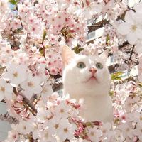 Laurens Bistervels's Photo