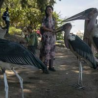 XiaoWan Xie的照片