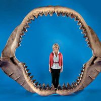 william grindey's Photo