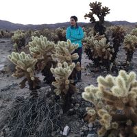 Saeide Doust的照片