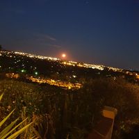 Simon  Williams的照片