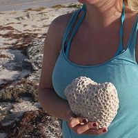 Anne Hoehne的照片