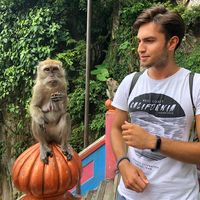 Onur Tekçam的照片