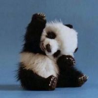 Michael Kuss's Photo