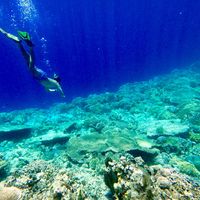 Mike Mercado的照片