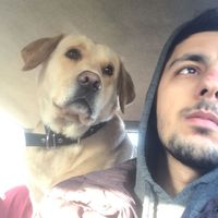 Muhammed Ali Küçük的照片