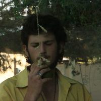 Rimon Weiss的照片