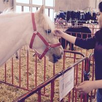 Фотографии пользователя Siham Blk