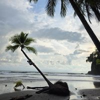 Frander Alvarado的照片