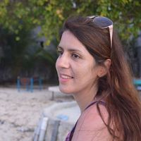 Maryam Shekari's Photo