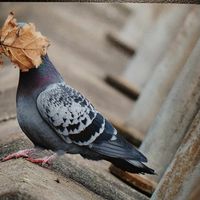 Mathilde Roux's Photo