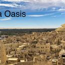 Siwa Oasis's picture