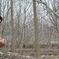 Azad Mohammadi's Photo