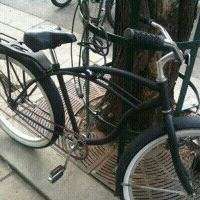 Rachel Dressler的照片