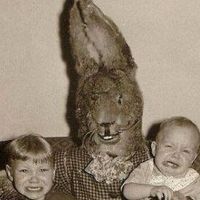 Фотографии пользователя V Aim