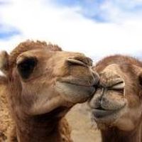 Joseph Cassini's Photo