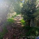 "Acchianata"monte Pellegrino 's picture